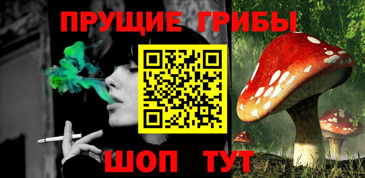 Борисоглебск  Псилоцибиновые грибы GOLDEN TEACHER  Вход с VPN 